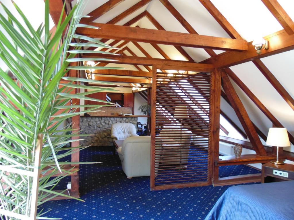 Curtea Brasoveana Room photo